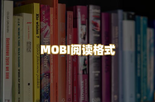 MOBI阅读格式